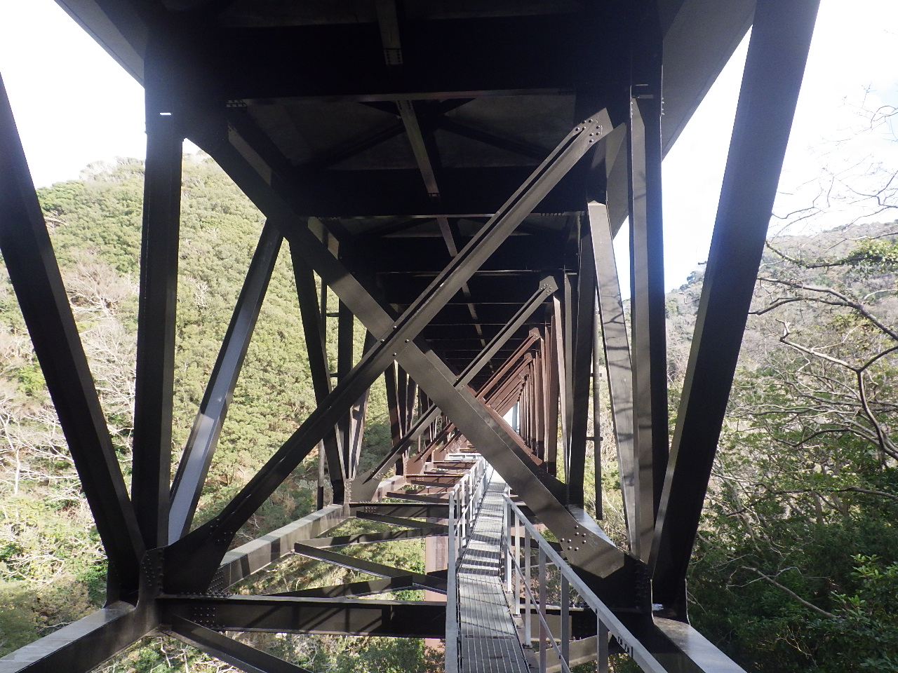 天狗橋 株式会社コウノ