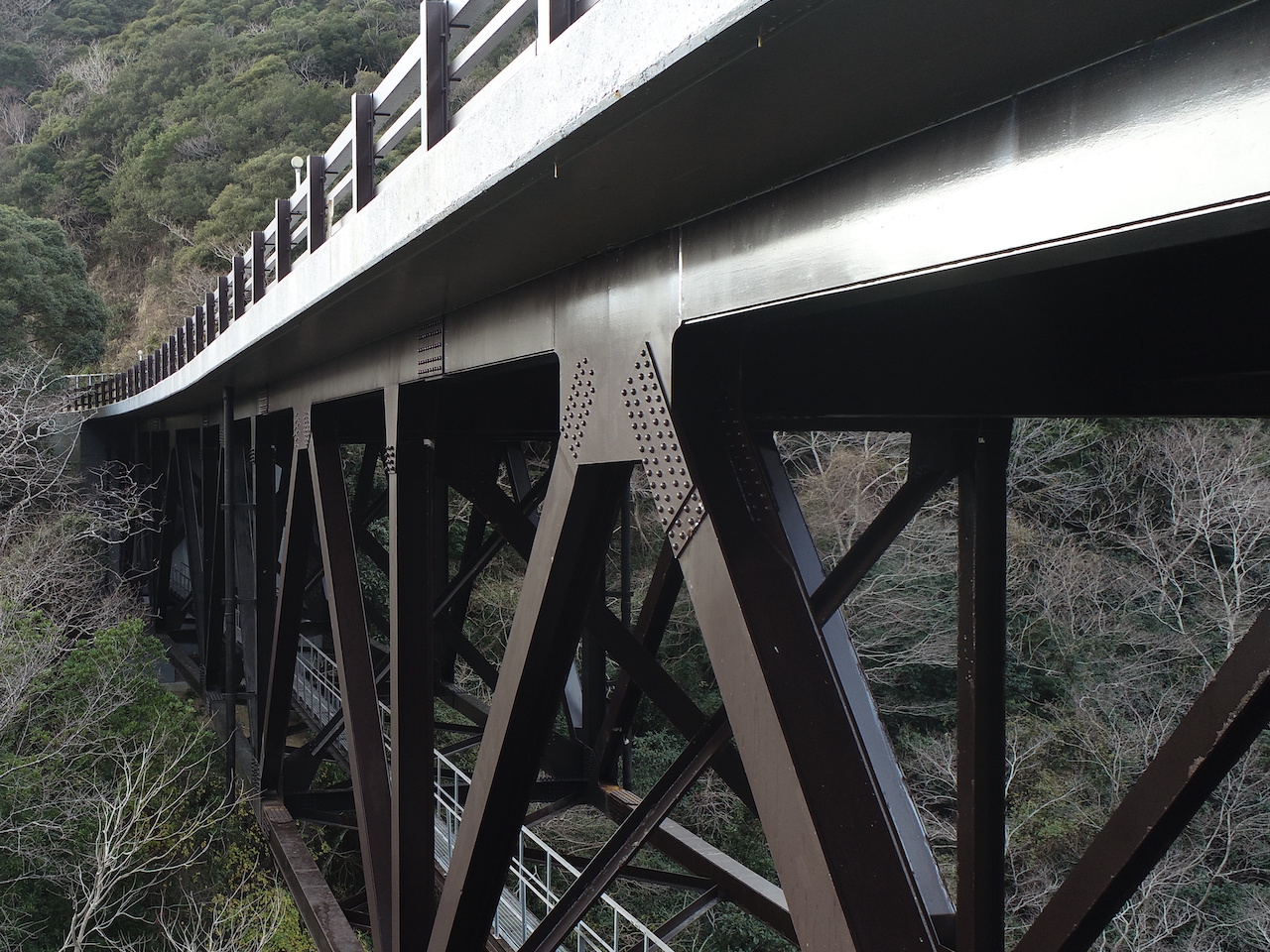 天狗橋 株式会社コウノ