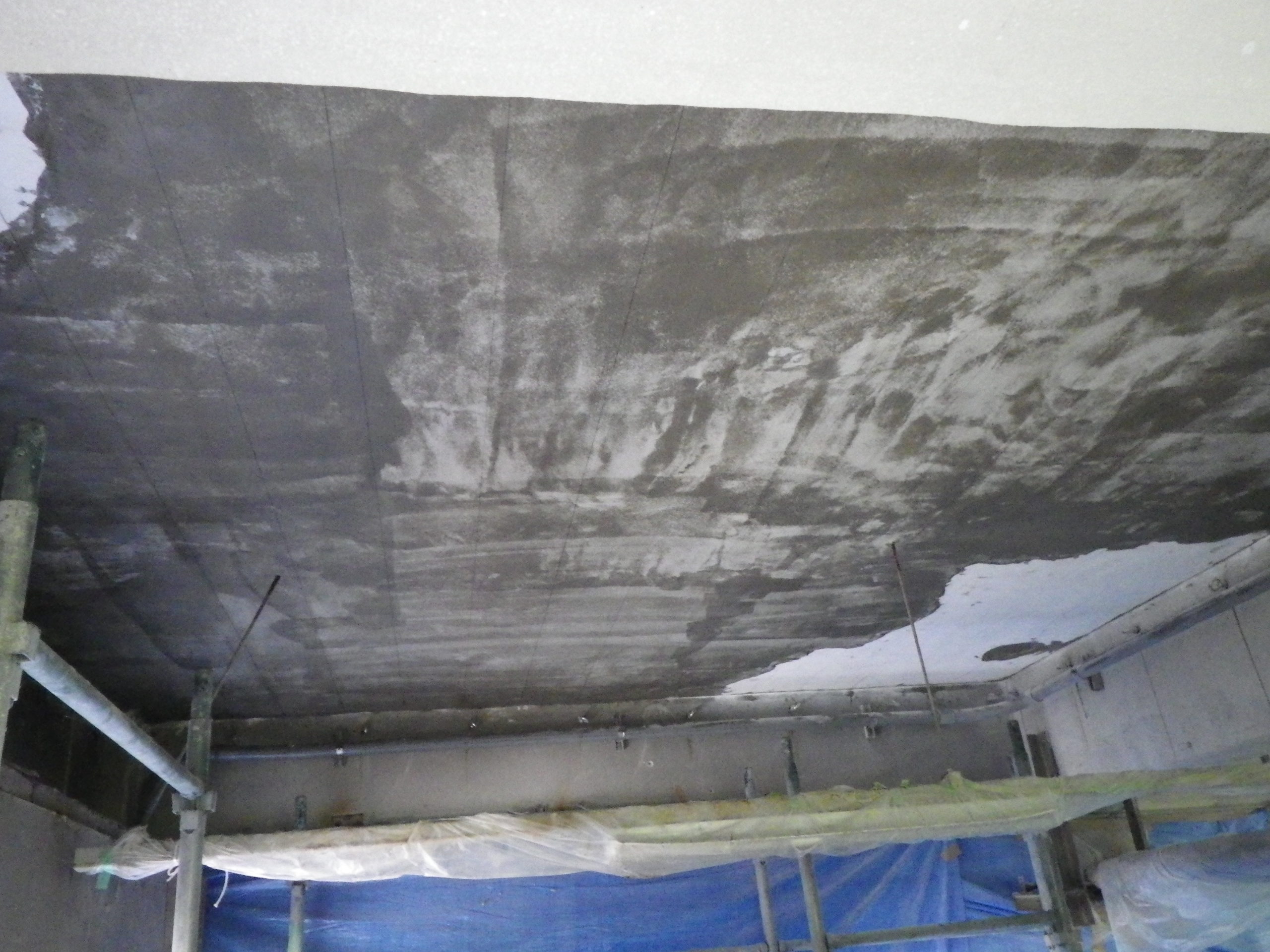 ニッピコラーゲン富士宮 ケーシング工場スラブ劣化対策